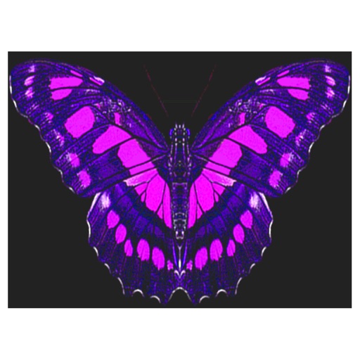 Butterfliestry