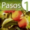 Pasos 1 Language Lab app gives you the confidence to take part in fluent Spanish conversations