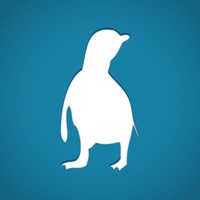 ペンギンパレードフィリップ島