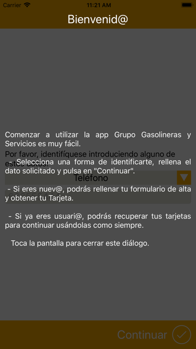 Grupo Gasolineras y Servicios screenshot 2