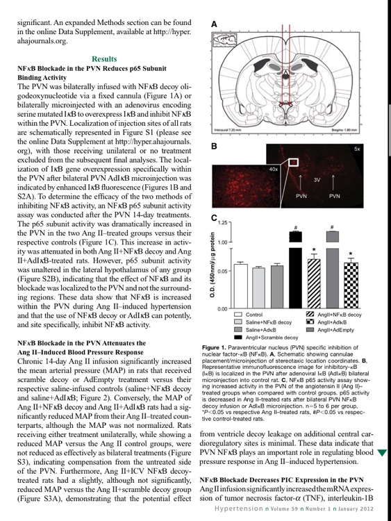 Hypertension Journal screenshot-4
