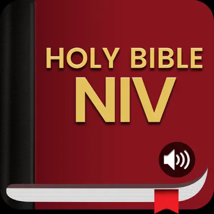 NIV Bible Audio Cheats