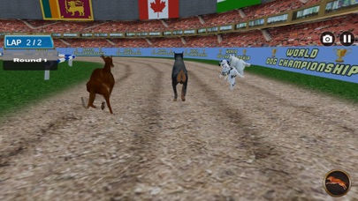 Dog Racing Tournament 2018 screenshot 4