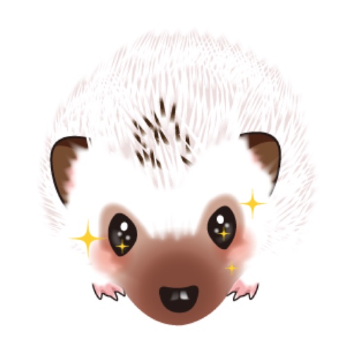 Hedgehog Funny Stickers Pack