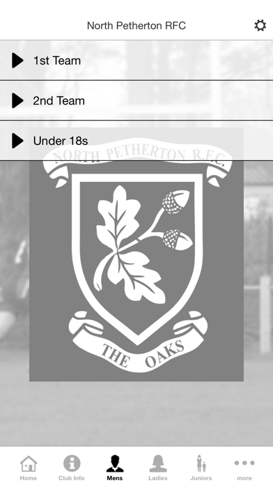 North Petherton RFC screenshot 3