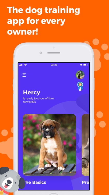 Pawey - Dog Training