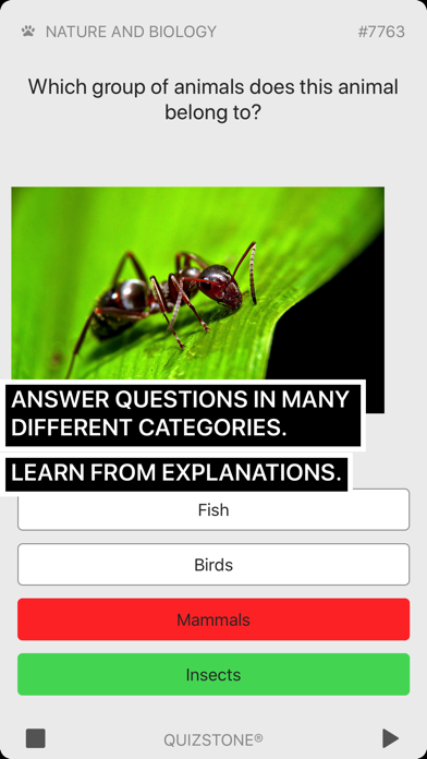 Kids Trivia Quiz screenshot 2