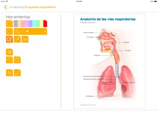 Screenshot 3 Miniatlas Anatomía - AP iphone