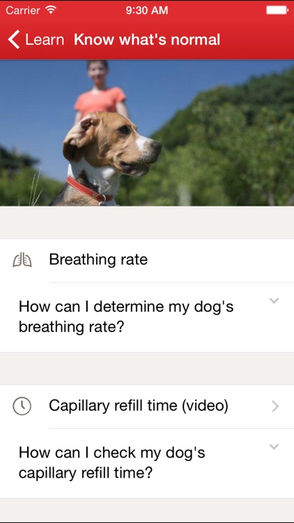 Pet First Aid: