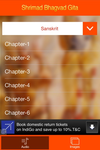 Bhagvat Geeta Multi Lang Audio screenshot 2