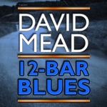 David Mead Twelve Bar Blues