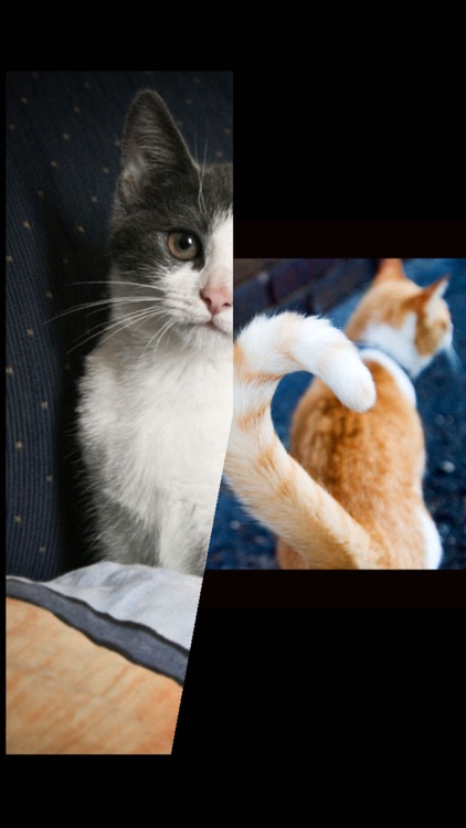 Simple Photo Slideshow