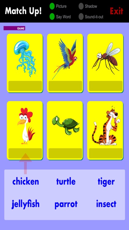 Phonic Flashcards - ANIMALS screenshot-7