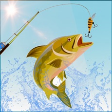 Activities of Fish Hunting: Real Fishing