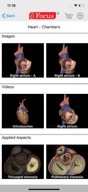 HEART -  Digital Anatomy(圖3)-速報App