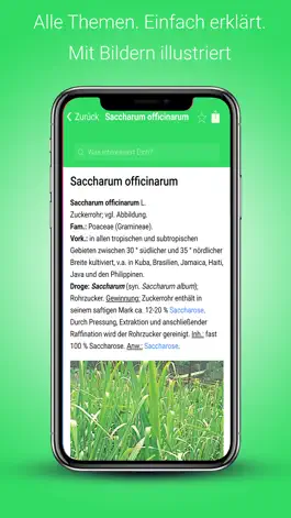 Game screenshot Drogen & Heilpflanzen Lexikon apk