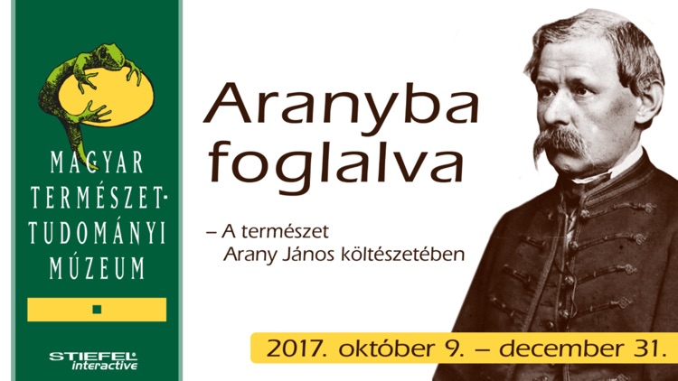 MTM Aranyba foglalva