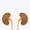 ABX Dosage is the reference guide for antimicrobial dosage adjustments in renal failure
