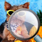 Find the Differences Cute and Furry Animal Adventures Edition for iPhone & iPod Touch icon