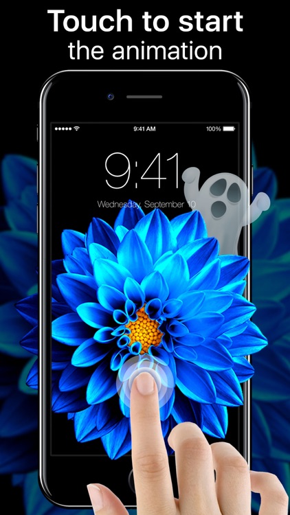 Live Wallpapers and Themes Now