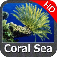 Coral Sea Nautical Charts HD