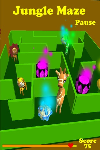 Jungle Maze - náhled