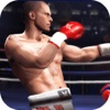 King BOXING Fighting 3D