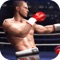 King BOXING Fighting 3D is a great entertainment for all action lovers with more perfect physics gaming and ultra realistic action