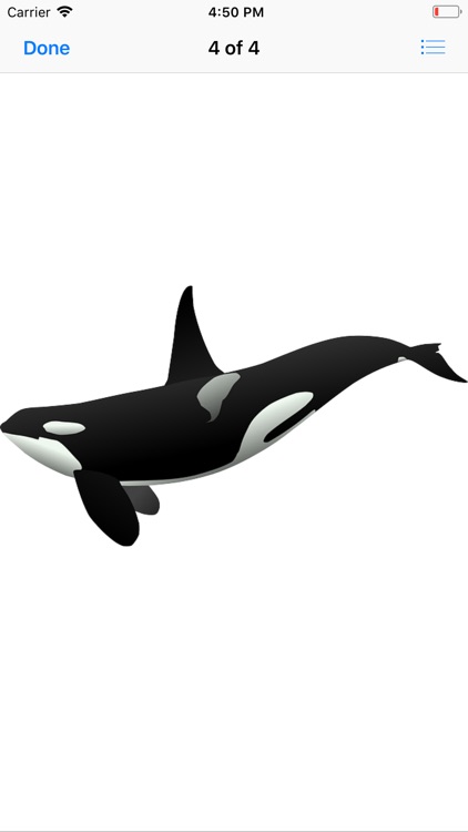 Real Whale Stickers screenshot-4
