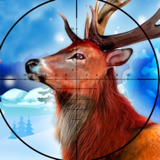 Activities of Jungle Deer Hunter Challenge