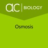 Exploring Osmosis