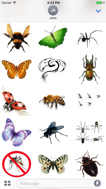 Fun Insect Stickers!