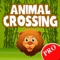 Animal Crossing PRO