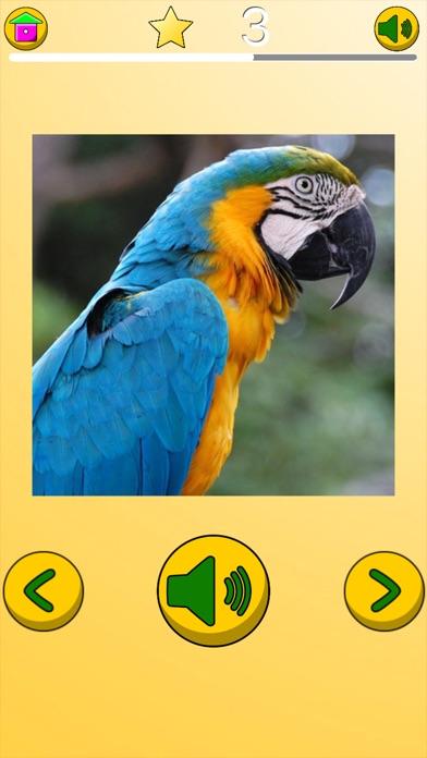 African Animals: Puzzles screenshot 2