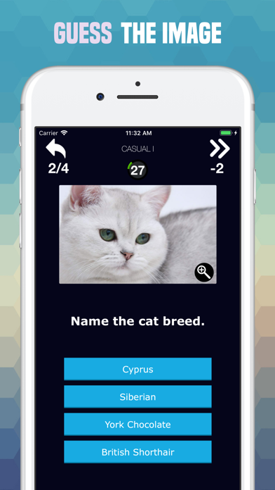Cats Trivia - Cute Images Quiz screenshot 2