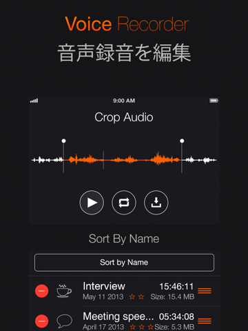 Voice Recorder+ Audio record screenshot 3