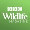 BBC Wildlife Magazine offers a window to the natural world, showcasing the wonder and beauty of wildlife through informative features and stunning photography