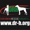 Dobermann-Rescue HUNGARIA