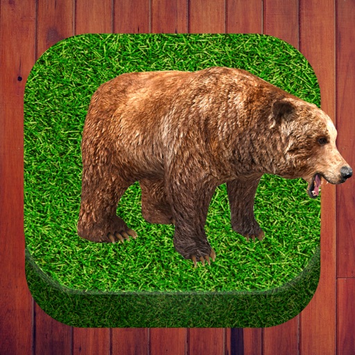 Fun Animal photos Download