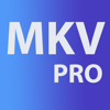 MKV to Any Pro