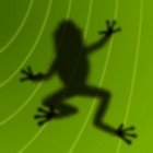 Top 20 Games Apps Like Ancient Frog - Best Alternatives