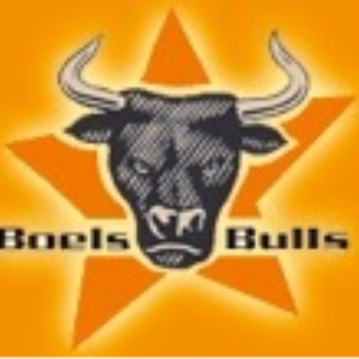 Eishockeyteam Boels Bulls