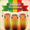 Virtual Congas & Bongos Drums