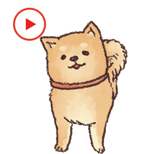 Shiba Dog Animated Stickers icon