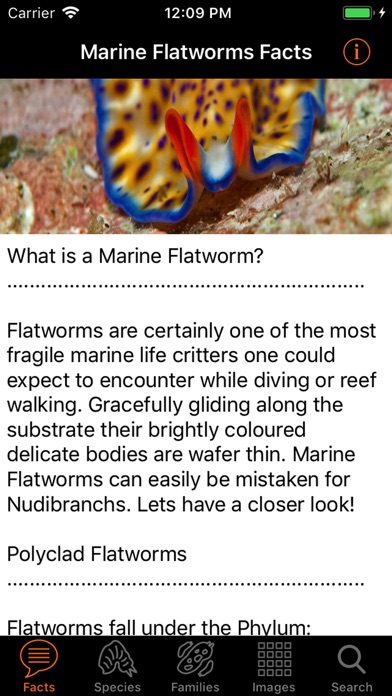 Marine Flatworms ID screenshot 2
