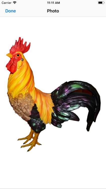 Raucous Rooster Stickers screenshot-6