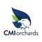 CMI Orchards is one of Washington States' largest grower, packer and shipper of premium Washington State apples, pears, and cherries