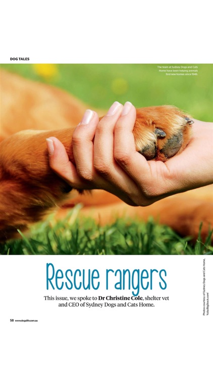 Dogs Life screenshot-4