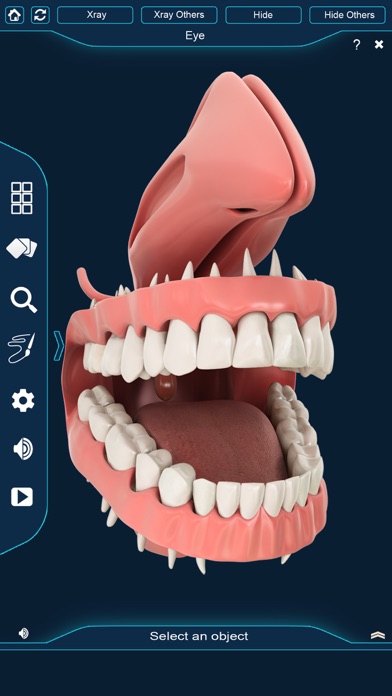 My Dental Anatomy screenshot 2