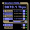 Display your Slush's Pool's Mining status